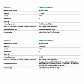 C. elegans Gene Expression Microarrays